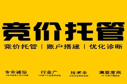 案例分享：百度竞价排名助力企业实现跨越式发展
